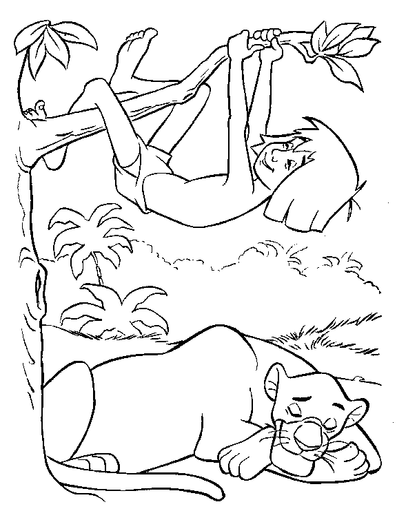 Libro de la selva Dibujos